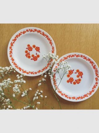 Petites assiettes arcopal Lotus 