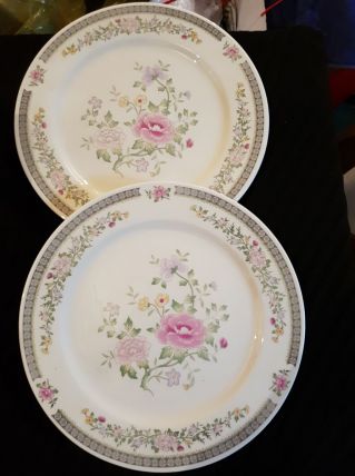 12 assiettes porcelaine fine