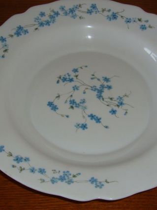 GRAND PLAT CREUX VINTAGE EN ARCOPAL MODELE VERONICA 