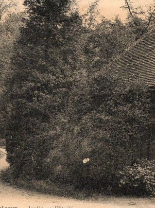 carte postale n et b jardin de l'Etoile à Lisieux 1930