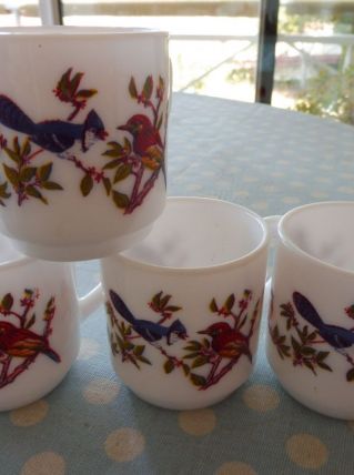 Ensemble de tasses vintage Arcopal décor oiseaux