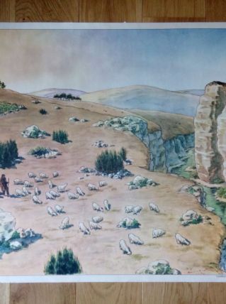 Affiche pédagogique scolaire