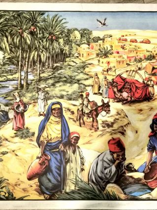 Affiche scolaire Mdi Les pays tropicaux, Le désert 