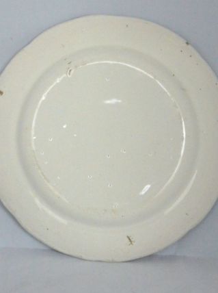 Assiette en faïence de l'est 19° décor fleur excellent état