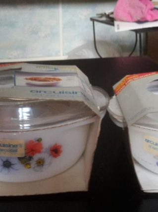 Cocottes Arcuisine d'Arcopal