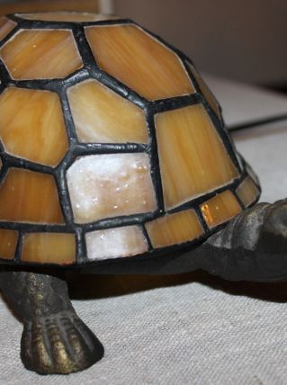 Tortue lumineuse