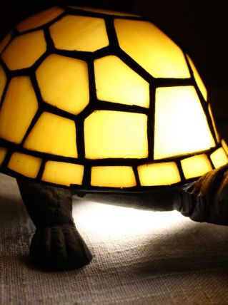 Tortue lumineuse