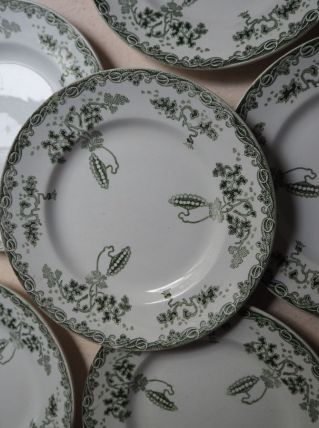 Assiettes Terre de Fer 