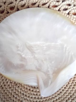 Magnifique coquillage en nacre 