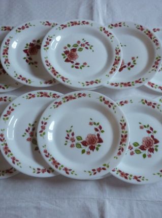 12 assiettes dessert  Arcopal decor de roses