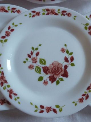 12 assiettes dessert  Arcopal decor de roses