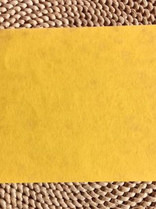 Ancien buvard publicitaire pour les Pastilles Brumaire 