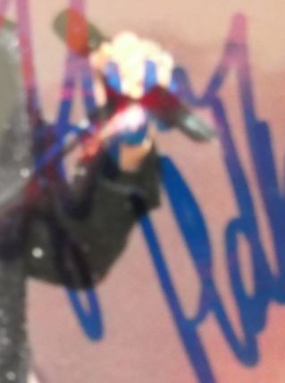 photo signée Johnny HALLYDAY en concert