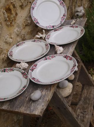5 Assiettes vintage Céranord St Amand crème &amp; rose