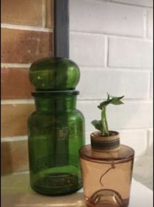 Boîte vase 