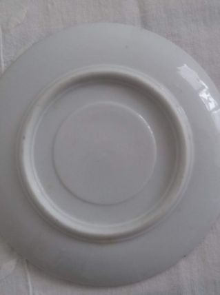 Assiette petite taille collection