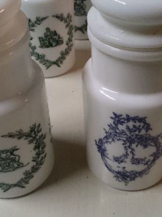 Pots à pharmacie d apothicaire 9 pots dont 4 bleu et 5 vert
