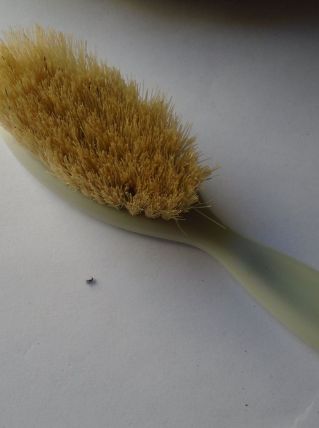 Brosse à cheveux enfant