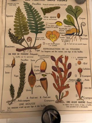 Affiche scolaire année 60