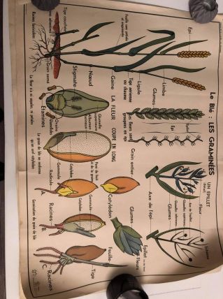 Affiche scolaire année 60