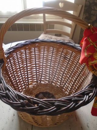 Panier en osier tressé