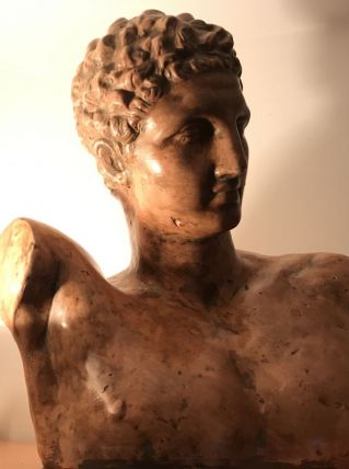Buste d'académie platre patiné - Dieu Hermès