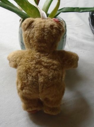 Poupon ours Anne Geddes