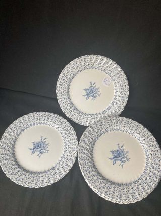 10 Assiettes Plates - Johson Bros