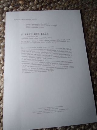 Planche botanique vintage années 50