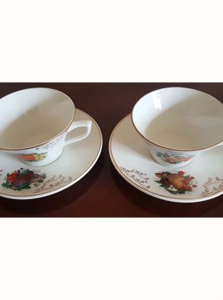 Tasse à déjeuner décor fruits Sarreguemines