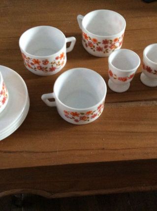 Tasses et coquetiers fleurs Arcopal