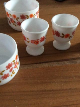 Tasses et coquetiers fleurs Arcopal