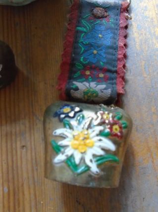 Clochettes edelweiss