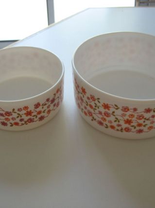 2 saladiers arcopal vintage scania fleurs 1 de 17 cm et un 2