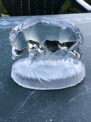 Sanglier cristal d’Arques