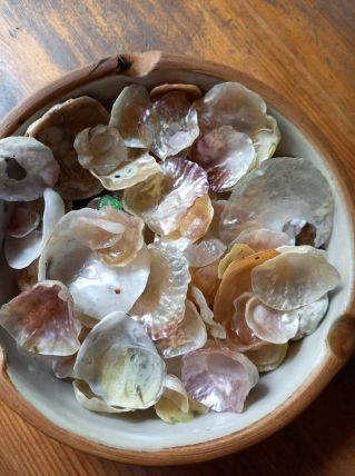 Coquillages de nacre 