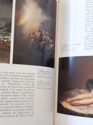 Histoire de l'Art - Tome 9 - Art du XIXe siècle
