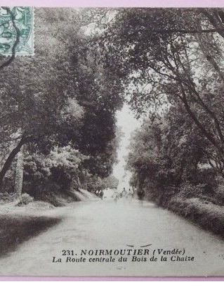 CPA Noirmoutier – La Route centrale du Bois de la Chaize