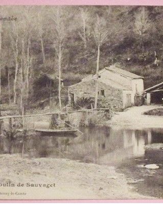 CPA L’orbrie (vendée) –Le Moulin de Sauvaget