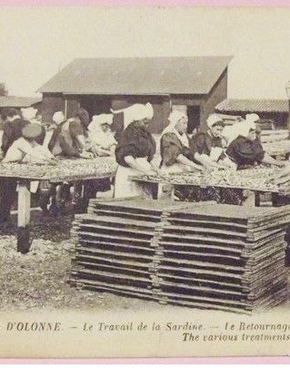 CPA Les Sables-d’Olonne – Le Travail de la Sardine