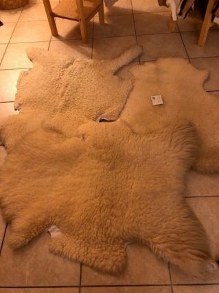 VENDS PEAUX DE MOUTON, VACHE et CHEVRE. 