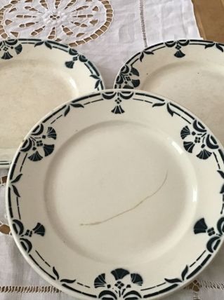 Assiettes bidonviller