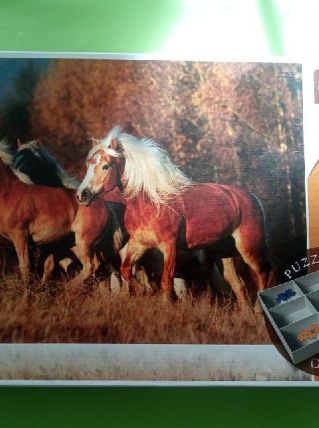 Puzzle 3 000 pièces neuf