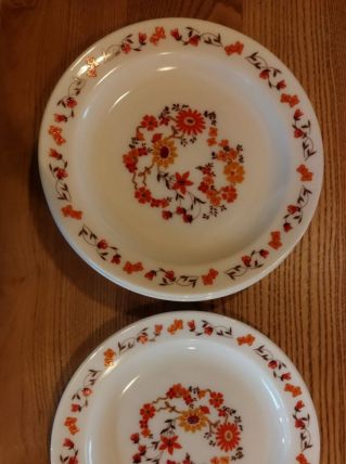 Assiette dessert arcopal 