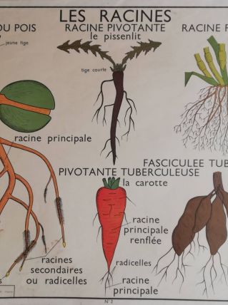 Affiche scolaire vintage 