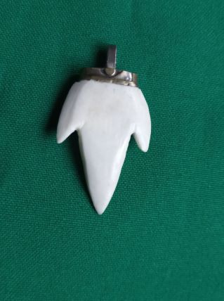 Dent de requin sculpté en pendentif / collier