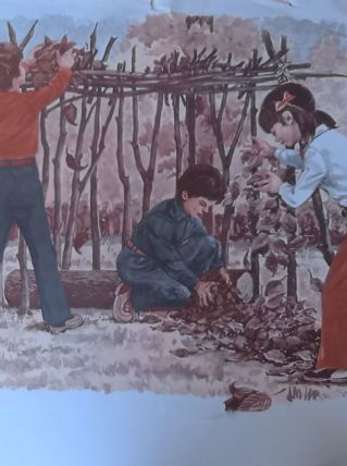 Affiche scolaire Série IM 3  37b-38b éditions MDI1972