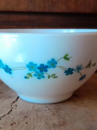 Bol Arcopal  Myosotis