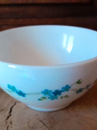 Bol Arcopal  Myosotis