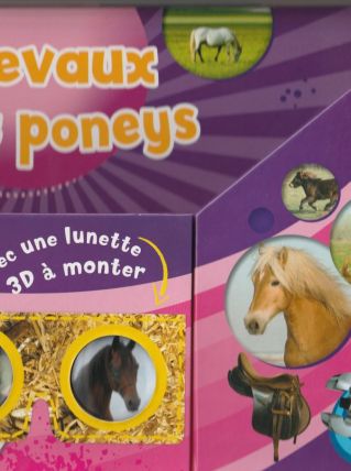 chevaux et poneys en 3D